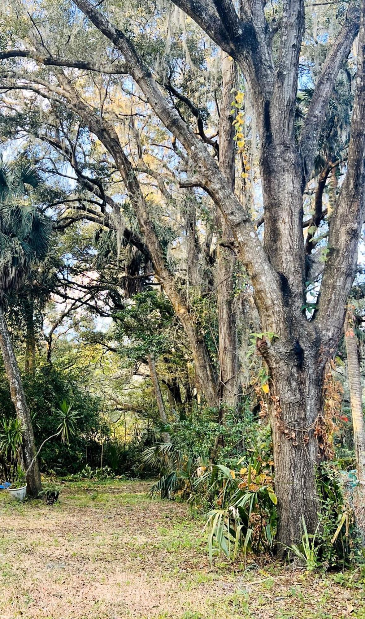 Country Welcome Micanopy Ngoại thất bức ảnh